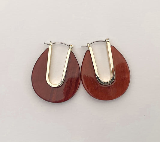 Brown and Gold Toned Drop Earrings